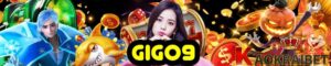 GIGO9